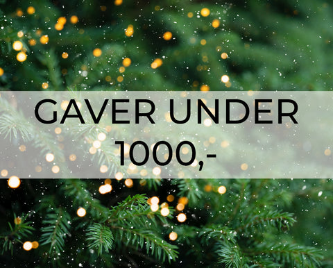 Julegaver under 1000kr