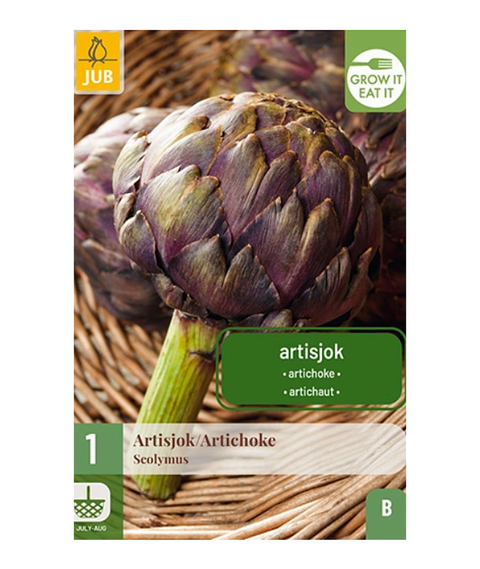 Artiskokk 1 stk