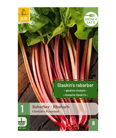 Rabarbra 'Glaskins' 1 stk
