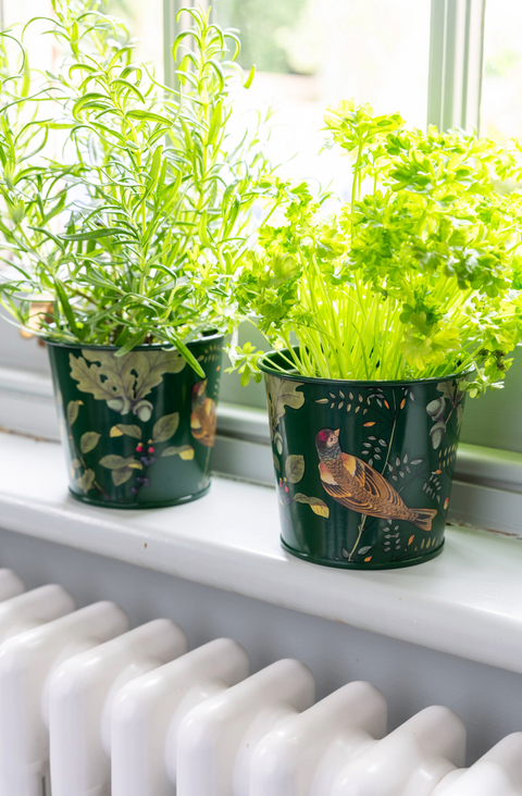 2pk urtepotter, Woodland wonders