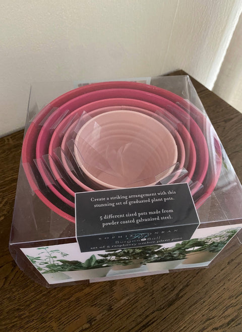 Blomsterpottesett 5stk, bringebær