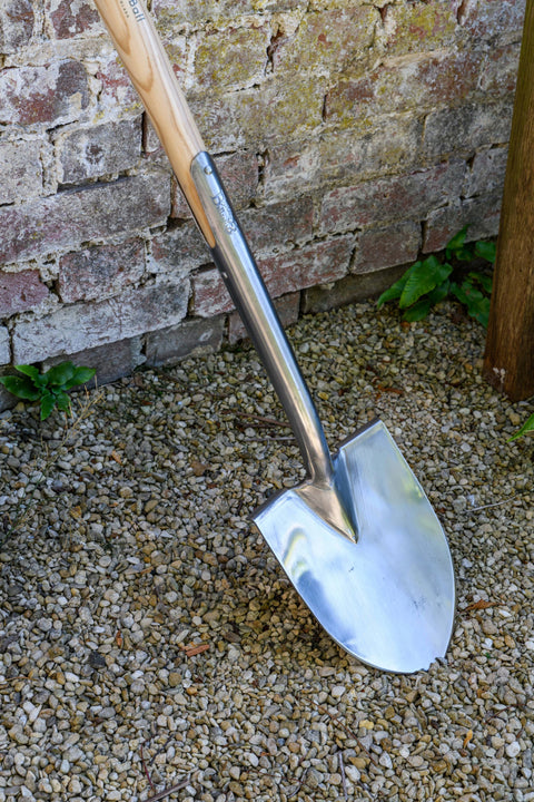 Spiss spade, Livstidsgaranti