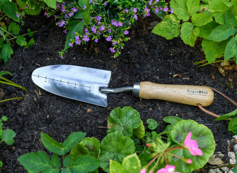 Plantespade, Livstidsgaranti