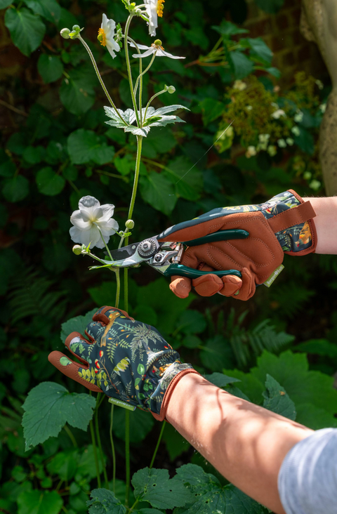 Hagehansker, Woodland wonders