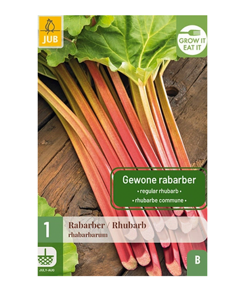 Rabarbra 'Rhabararum' 1 stk