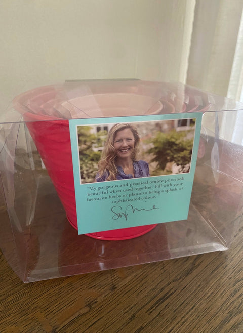 Blomsterpottesett 5stk, bringebær