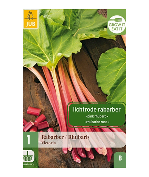 Rabarbra 'Victoria' 1 stk