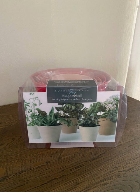 Blomsterpottesett 5stk, bringebær