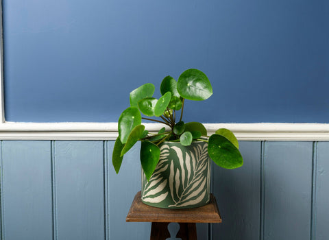 Blomsterpotte 16cm, Grønne blader