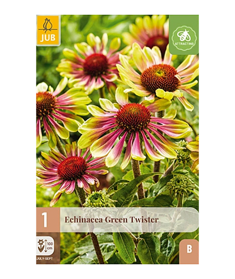 Solhatt 'Green Twister' 1 stk