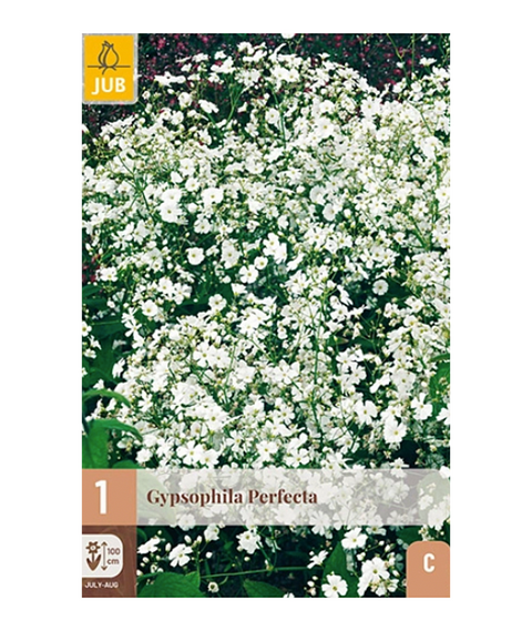 Brudeslør 'Perfecta' 1 stk