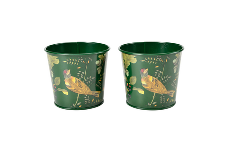 2pk urtepotter, Woodland wonders