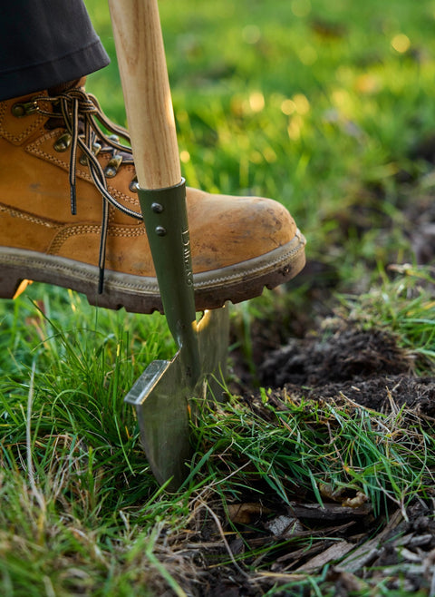 Kantskjærer halvmåne, Boron Green