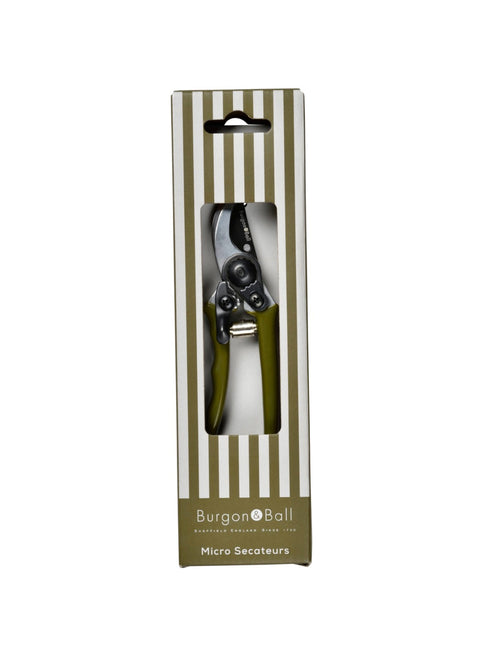 Liten hagesaks oliven