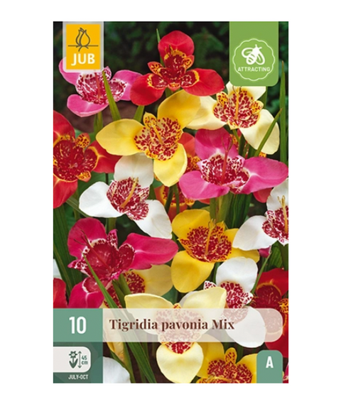 Tigerblomst mix 10 stk