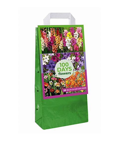 Bulb Garden fargerik miks 125 stk