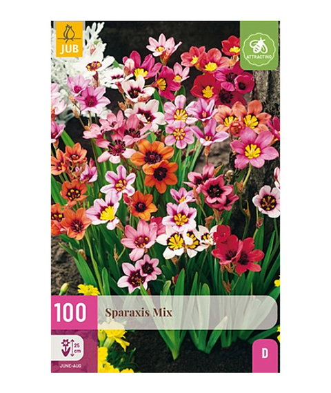 Praktharlekinblomst miks 100 stk