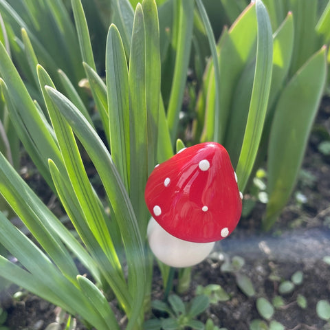 Håndlaget keramisk sopp