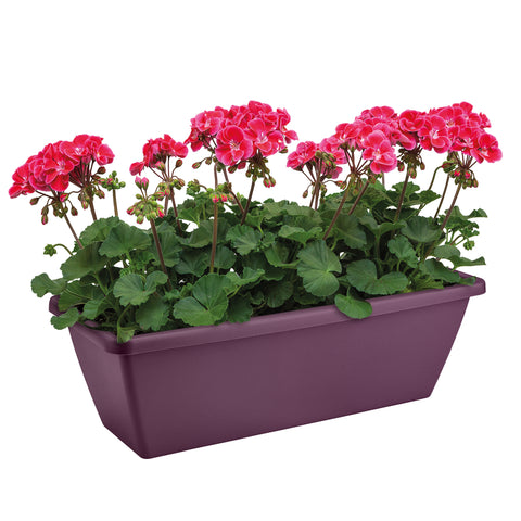 Balkongkasse 70cm lilla, Barcelona