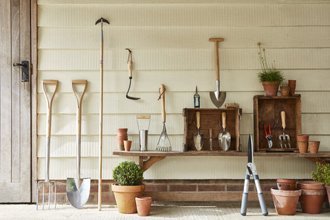 Spiss spade, Livstidsgaranti