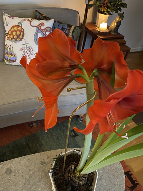 Blomsterstøtte krok messing