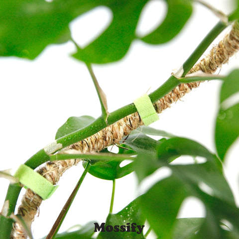 Bøybar plantestøtte 40cm