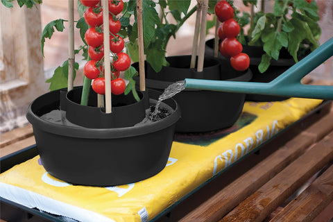 Tomatpotte med vannreservoar 3pk