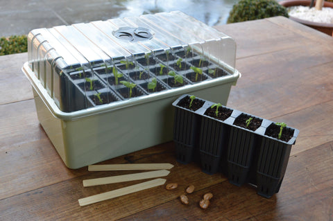 Dyrkekit for dype røtter m/lokk 28 celler