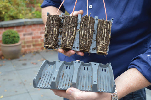 Dyrkekit for dype røtter m/lokk 28 celler