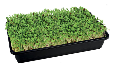 Jute frømatte medium 3pk