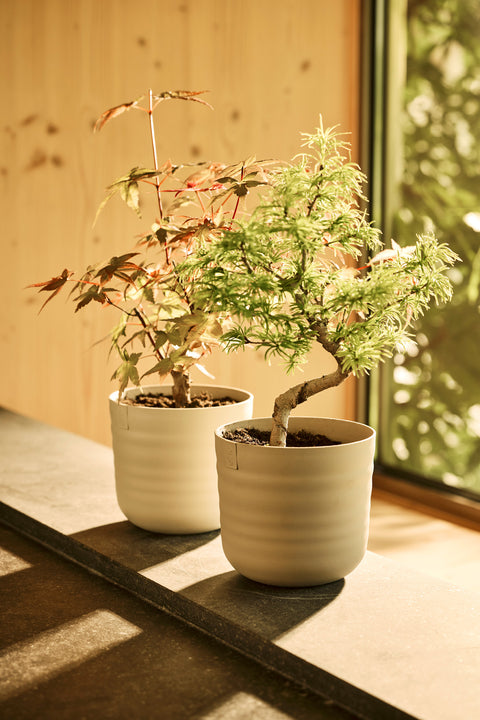 Blomsterpotte 18cm lin hvit, Dune