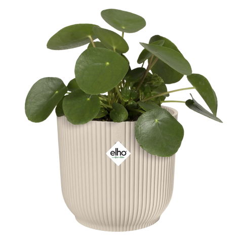 Blomsterpotte 14cm lin hvit, Vibes Fold