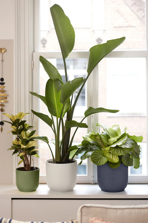 Blomsterpotte 16cm fern green, Vibes Fold
