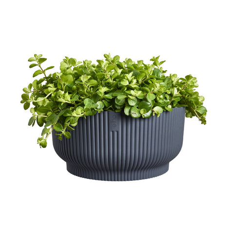 Blomsterbolle 25cm koksgrå, Vibes Fold