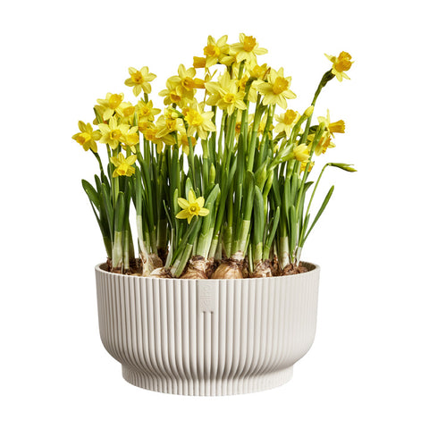 Blomsterbolle 25cm lin hvit, Vibes Fold