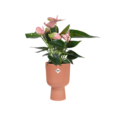Coupe blomsterpotte rosa 14cm, Vibes Fold