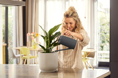 Vannkanne 1,7L koksgrå, Vibes fold