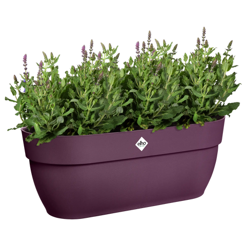 Balkongkasse 46cm lilla, Vibia