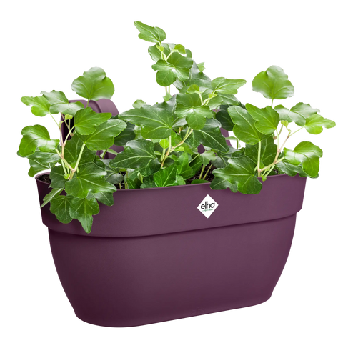 Balkongkasse 36cm lilla, Vibia