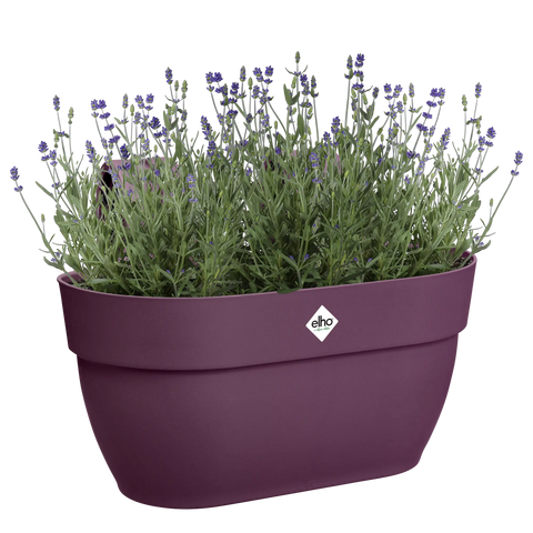 Balkongkasse 36cm lilla, Vibia