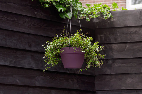 Ampel 26cm lilla, Vibia