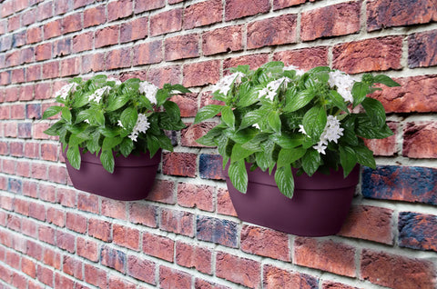 Veggampel 35cm lilla, Vibia